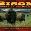 Phalanx Games B.V. Bison: Thunder On The Prairie