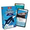 Bioviva Nature Challenge - Sea Creatures Board Games