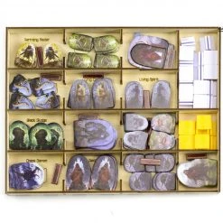 Gaming Trunk - Lion Jaws Organizer Compatible With Gloomhaven: Jaws Of The Lion (Natural Unstained)