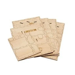 The Broken Token Broken Token - Einstein Organizer 13 The Broken Token Broken Token - Einstein Organizer