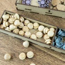 The Dicetroyers - Spirit Island (Base Game Or With Branch And Claw Expansion) (Italy Import)