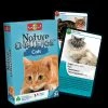 Bioviva Nature Challenge - Cats