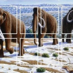 Sierra Madre Games Board Games Neanderthal / Greenland Folding Board