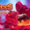 Van Ryder Games Bees: The Secret Kingdom