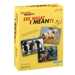 PlayMonster Relative Insanity: See What I Mean?